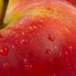 Environmental Health Concerns in 2025
