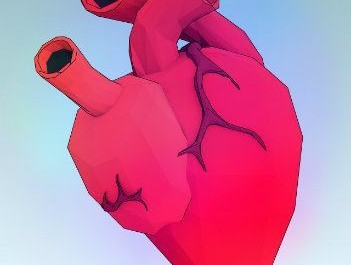 Heart Illustration