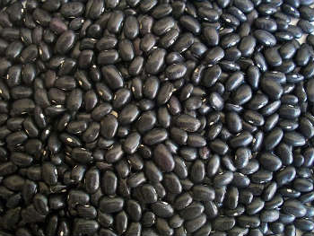 Dried black beans