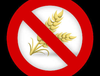 No wheat allergy